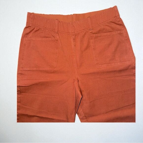 AnyBody Regular All-Stretch Twill Straight Leg Ankle Pants Size Medium - Picture 7 of 12